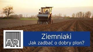 AR #12 / Ziemniaki - jak zadbać o dobry plon?