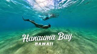 Hanauma Bay Snorkeling | Beautiful Hawaii | First Time Snorkeling | @insta360  insta 360 X4