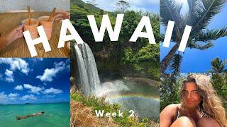 Hawaii Vlog: week 2 {island hop to kauai, snorkel, turtles, beaches, hikes, and more!}