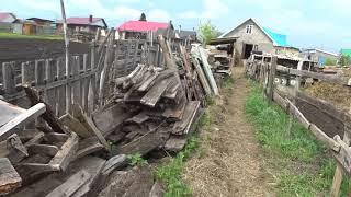 Дуняшка выздоровела ! Гришка хулиган !
