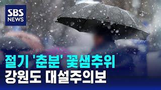 [날씨] 절기 '춘분' 꽃샘추위…강원도 대설주의보 / SBS