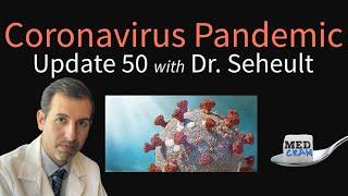 Coronavirus Pandemic Update 50: Dip in Daily New Deaths; Research on Natural Killer Cells & COVID-19