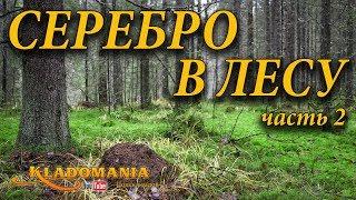 ПОИСК КЛАДОВ С ЛЕСУ. СЕРЕБРО в лесу  Часть 2. Кладомания