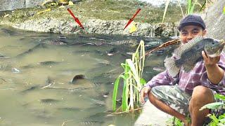 Ini GilaWarga Tak Peduli Ikan Liar Sudah Seperti Kolam #TC_257