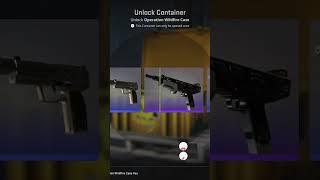 Case A Day - Day 27 #cs2opening #cs2clips #cs2skins