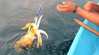 I Caught a Giant Squid in the Buton Island _ Mancing Cumi pagi hari makan di Pantai 