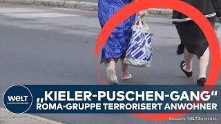 KIEL: Flüchtlingsgruppe terrorisiert Stadtteil! Über 800 Straftaten - Trotzdem keine Abschiebung!