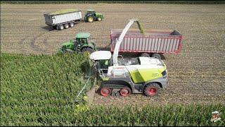 Chopping Corn Silage at Windy Ridge Dairy in Northwestern Indiana