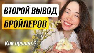 Воду животным больше НЕ НОСИМ! Облегчаем управу