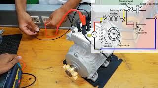 Capacitor Start Capacitor Run Induction Motor