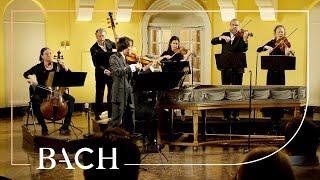 Bach - Violin Concerto in E major BWV 1042 - Sato | Netherlands Bach Society