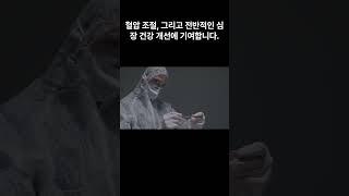 심혈관 질환의 주요 위험 요소! 고지혈증 예방 및 콜레스테롤 정보