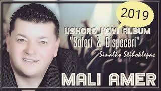 Mali Amer 2019 -  SOFERI i DISPECERI (Uzivo)