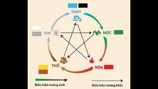 NGUYÊN LÝ NGŨ HÀNH - CÁCH GHI NHỚ CỰC HAY  | TỬ VI VÀ VẬN MỆNH | THẦY TRÌNH MINH ĐỨC