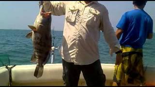 grouper 7kg of ah Hui's 2nd fish - 2010