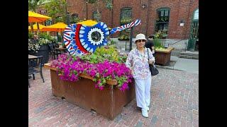 Toronto - Day 3 - Distillery District, Ferry to Toronto Islands, Centre Island, Flatiron Building