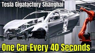 Tesla Makes An EV Every 40 Seconds At Gigafactory Shanghai