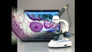 AmScope 40X-1000X All-Metal Optical Glass Lenses Cordless LED Microscope