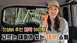 말도 안되는 갓성비 차박 아이템 고르는 재미가 있는 알찬 테무 쇼핑