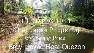 #vlog79 4 Hectares Property (part 2) w/Batis Lagoon