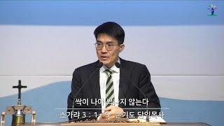 [동광교회] 싹이 나야 썩나지 않는다 - 손기도 담임목사