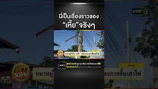 หมาหมู่ไล่กัด "เหี้ย" หนีตายตะกายขึ้นเสาไฟ | ข่าวช่องวัน