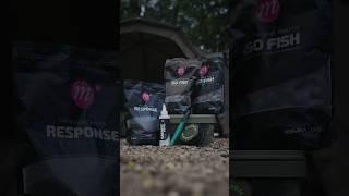 Out now - die Mainline Baits ISO FISH Range! ️ #kordagermany #carpfishing #shortsvideo