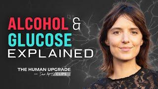 The Effects of Alcohol on Glucose | Jessie Inchauspé x Dave Asprey