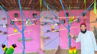 Love Birds Ki Aviary Bi Complete Ho Gai 