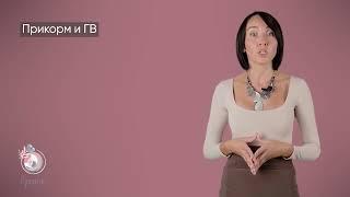 Курс "6 месяцев. Прикорм" Марины Ступиной. Онлайн-школа "Принятие"