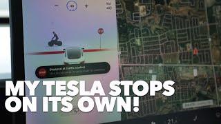 Autopilot (2020.20.13)Tesla Stoplight and Stop Sign Control!
