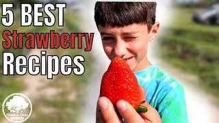 Our 5 Favorite Strawberry Recipes | Strawberry Season | What we do with our strawberry harvest