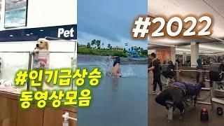 #2022 #인기동영상 #인기급상승동영상