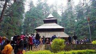 Manali | hadimba temple 2024 vlog | Manali Vlog | mountain tracking | Snowfall