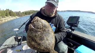 Monster Hunt - Swedish Westcoast Turbot