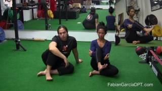 Intermediate LE series - Open chain knee