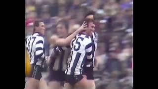 Peter Daicos Career Highlights