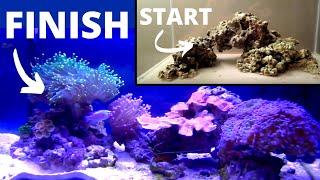 How To Setup A Saltwater Aquarium: Step By Step