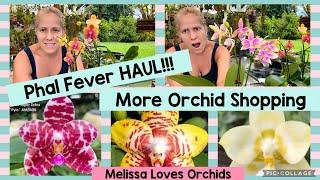 Phal Orchid Fever HAUL!! Let’s see what’s new!!