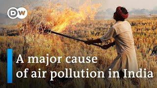 India: Could there be an alternative to 'stubble burning'? | DW News