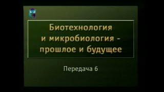 Передача 6. Царство грибов, их значение