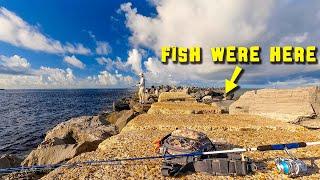 Catching Redfish on Artificial Lures - Panama City Beach Jetty Fishing
