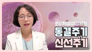 분당제일여성병원 시험관 동결주기vs신선주기