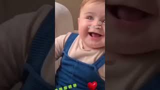  funny monkey . cat ️ video #cute #baby #funnymonkey