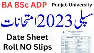 BA BSc ADP Supply 2023 Date Sheet PU | BA BSc Supply 2023 Exams PU | ADP SUpply 2023 Exams PU