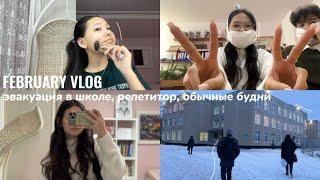 FEBRUARY VLOG / эвакуация, репетитор, обычные будни 