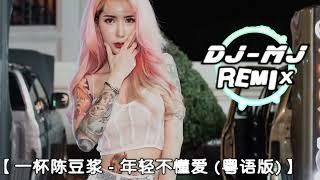 一杯陈豆浆 - 年轻不懂爱 粤语版 DJ-MJ Electro Remix 【就让我失去一个人痛心也应该】