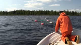 Med Johnny och Kenneth Stålarm på laxfiske i Luleå skärgård