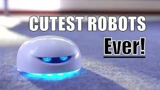 Cute Robots You Can BUY - Robots are Your Ultimate Life Hack