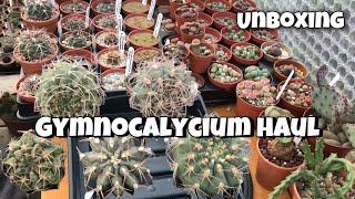 Cactus unboxing | Cactus Plant Collection | Gymnocalycium Collection